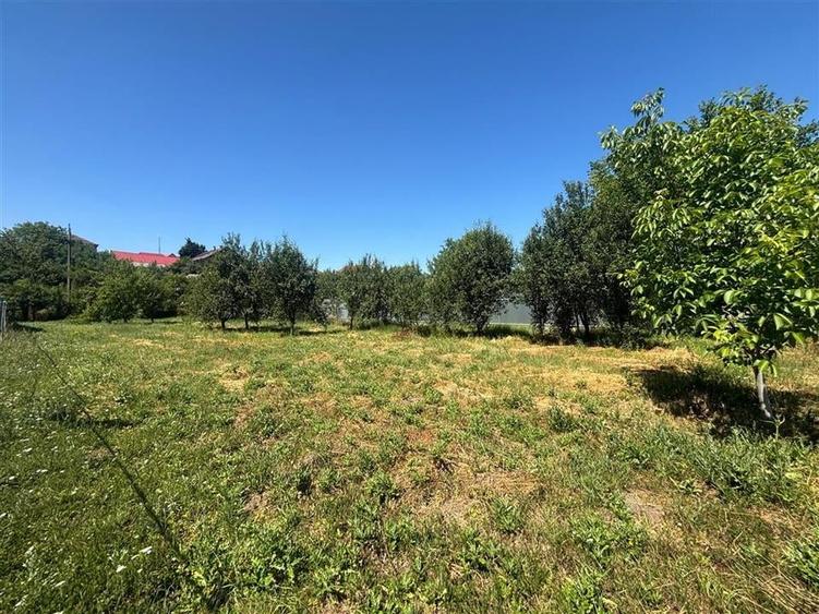 TEREN INVESTITIE BAILE FELIX /P+4/ FRONT 18 ML/750 MP - 2