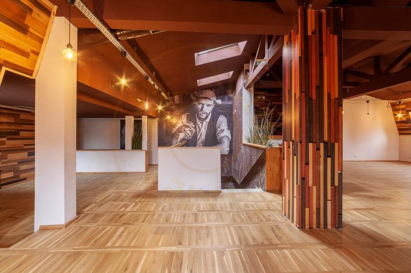 Spatiu comercial premium in vila – Bd. Republicii, Pitesti - 13