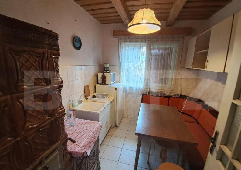 Cabana in colibita - 11