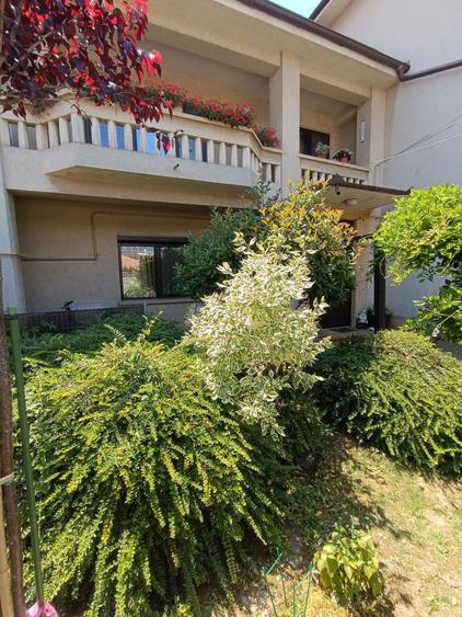 vila 450mp ELISABETIN - 6