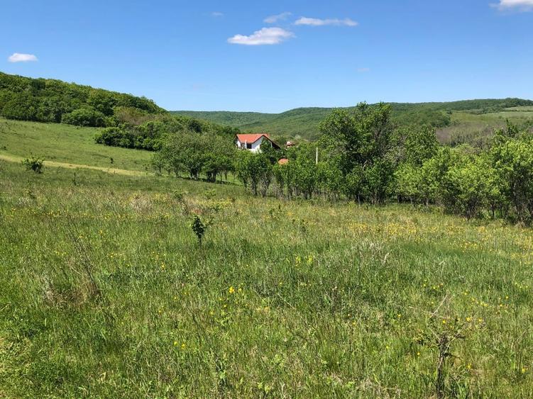 PF vand teren intravilan constructii 23 km de Cluj 18500 eu - 1