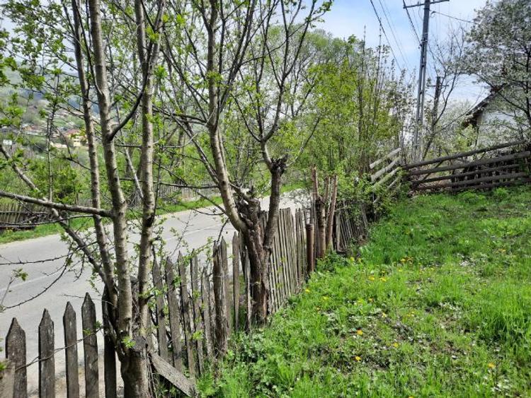 Teren intravil, VDRusu, Construcții, Investitie, La princip, Acte OK, Certif Urbanism  - 2