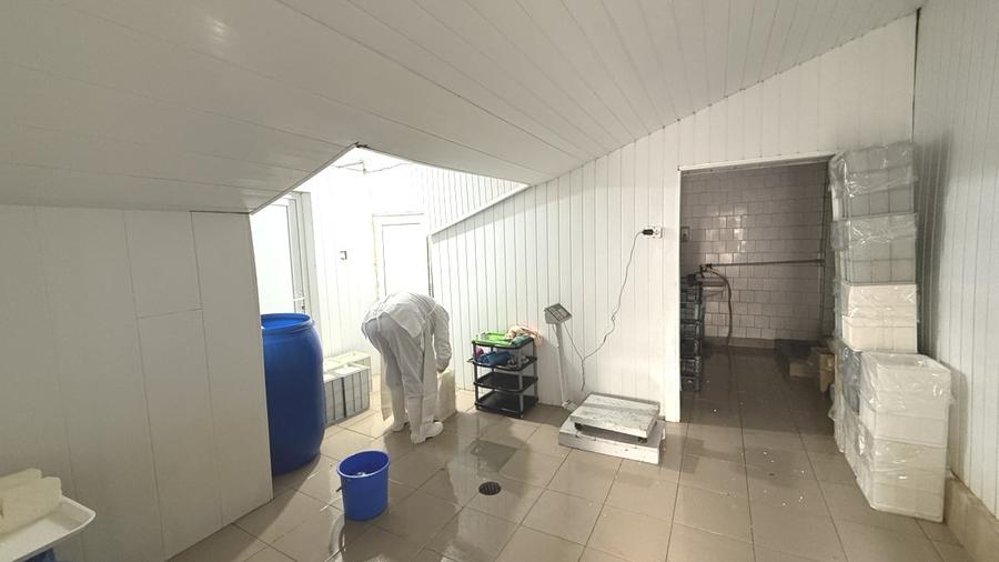 Făbrică de producție brânzeturi, Business funcțional, 25 de ani activitate - 9