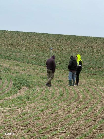 Teren arabil Vasilati - 2