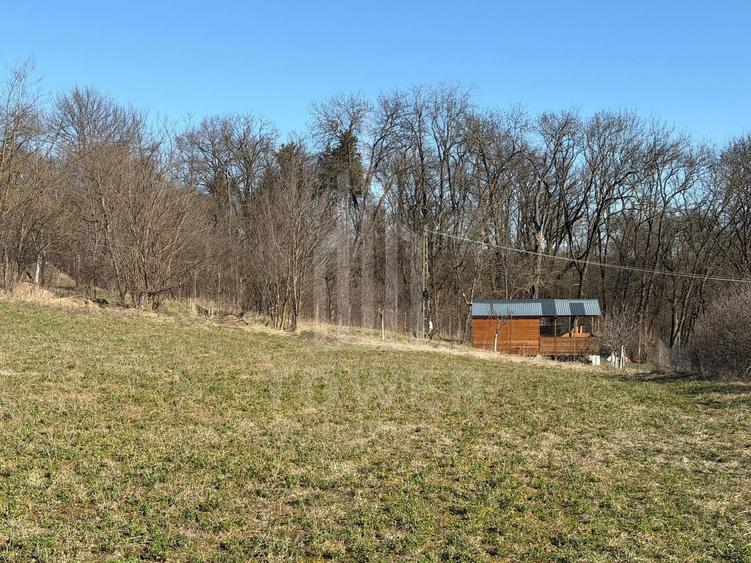 Teren intravilan de vânzare - Ocna Sibiului - 8