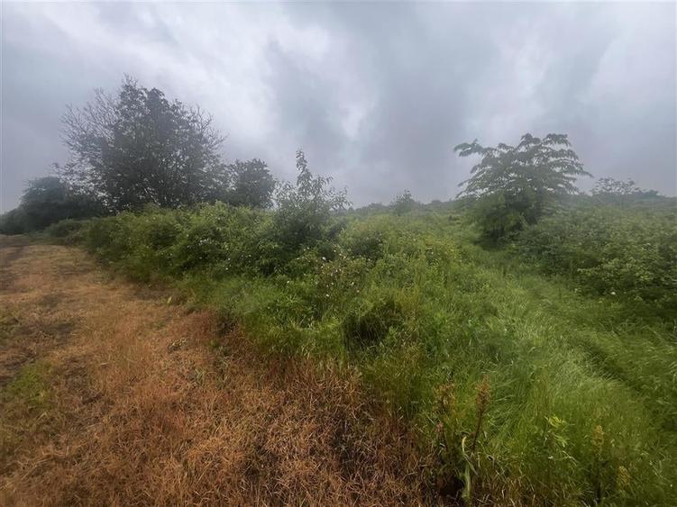 Teren intravilan, 1000mp, in Valea Calugareasca. - 2