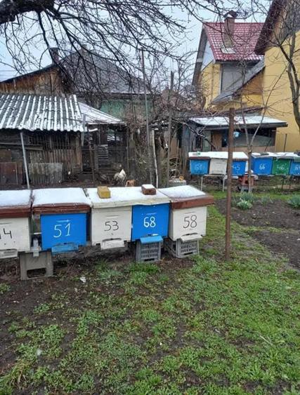 Casa de vanzare Abrud - 3