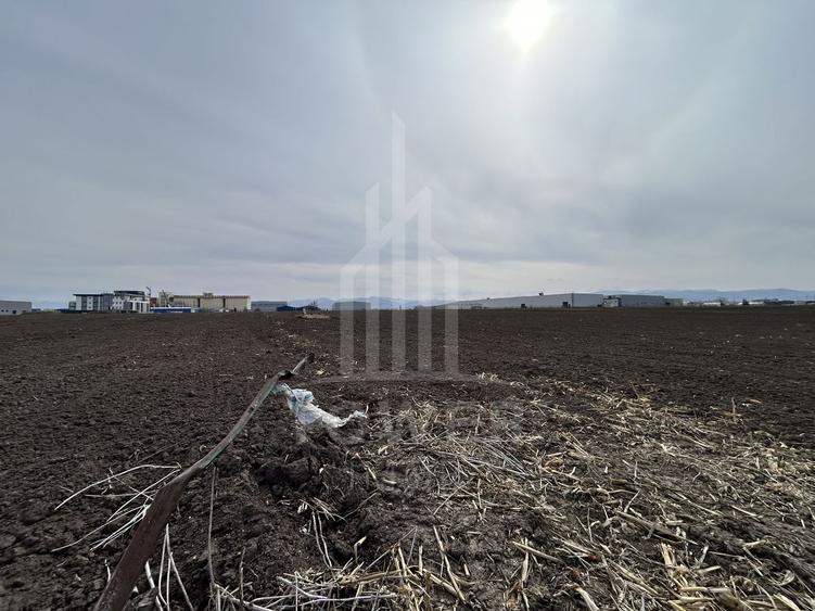 Teren intravilan de vânzare – 10.000 mp – Zona Industrială Vest | Comision 0% - 3