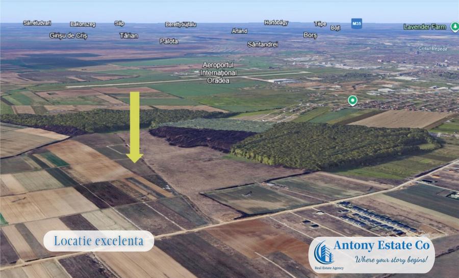 Oportunitate de investitie - Teren Cihei, langa Padurea Nojo - 6