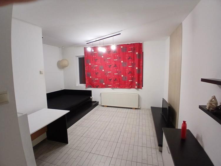 Apartament 1 camera Complex - 8