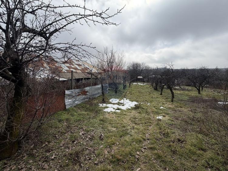 Casă cu 4 camere si teren 7727 mp Blidari - 23