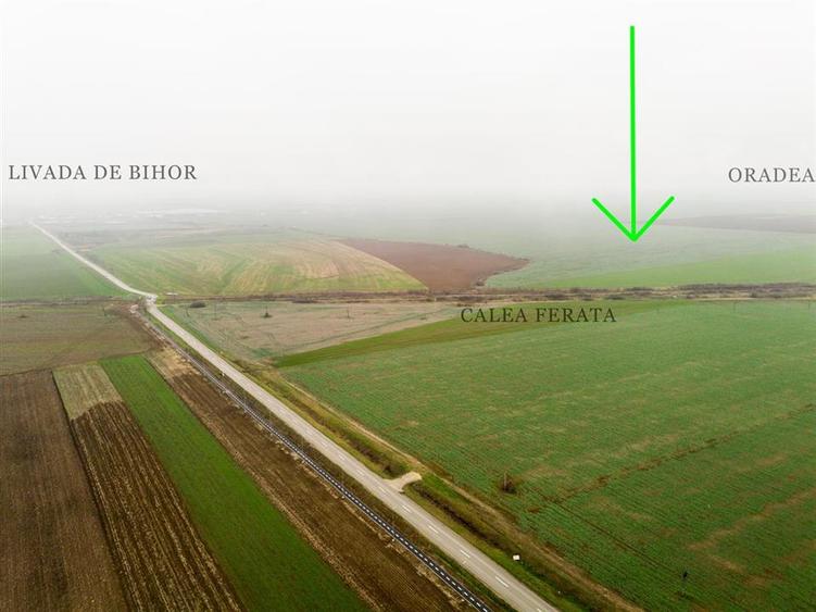 RECO Teren extravilan 5800 mp Livada de Bihor - 2