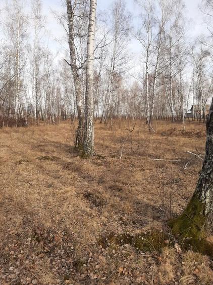 Vanzare teren intravilan - 1