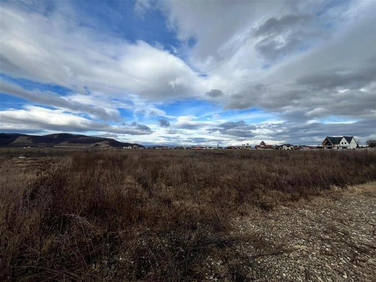 Teren Intravilan 930 mp, Harman - 3