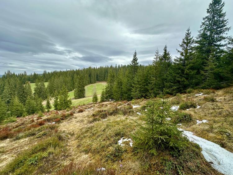 TEREN PARCELABIL, aproape de partia de ski Marisel si Crucea Iancului - 2