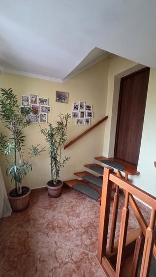 Casa spatioasa cu piscina, crama si teren generos – zona Aurel Vlaicu - 8