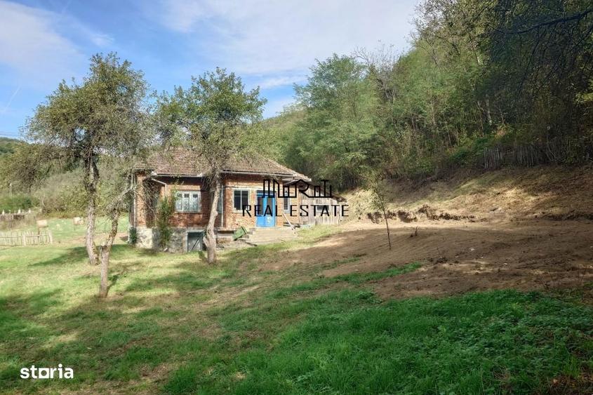 Teren, padure si casa in Dumbrava de Jos, jud. Hunedoara - 4