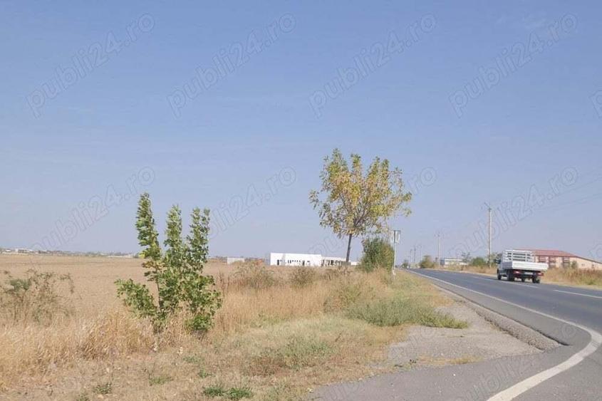 Mihailesti - Giurgiu, vav de Dovinot Ballroom, 57.000 mp. teren cu deschidere la DN6 - 4