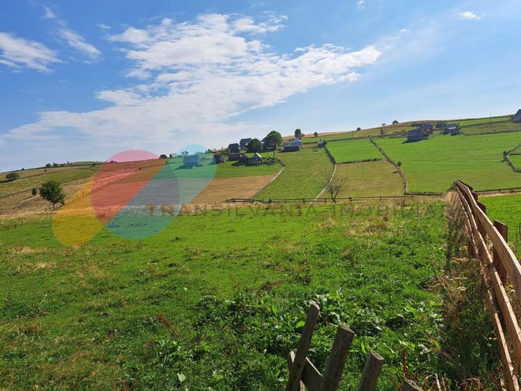 Teren Intravilan 1587 mp, Localitatea Maguri-Racatau - 1