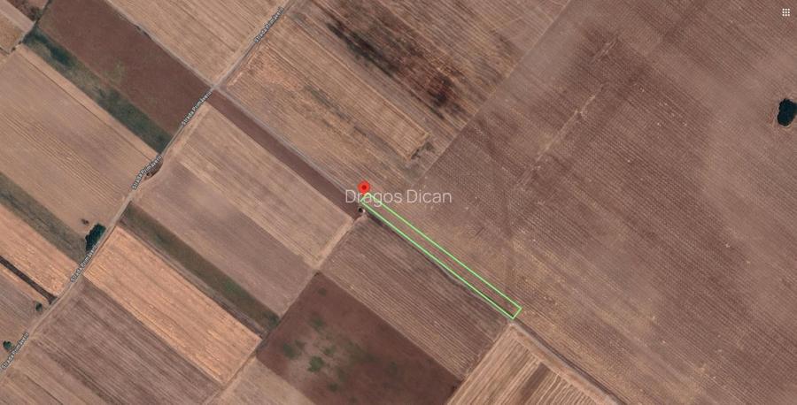 Teren Extravilan In Rate Primaverii Com. Berceni | 2670mp | #EG52