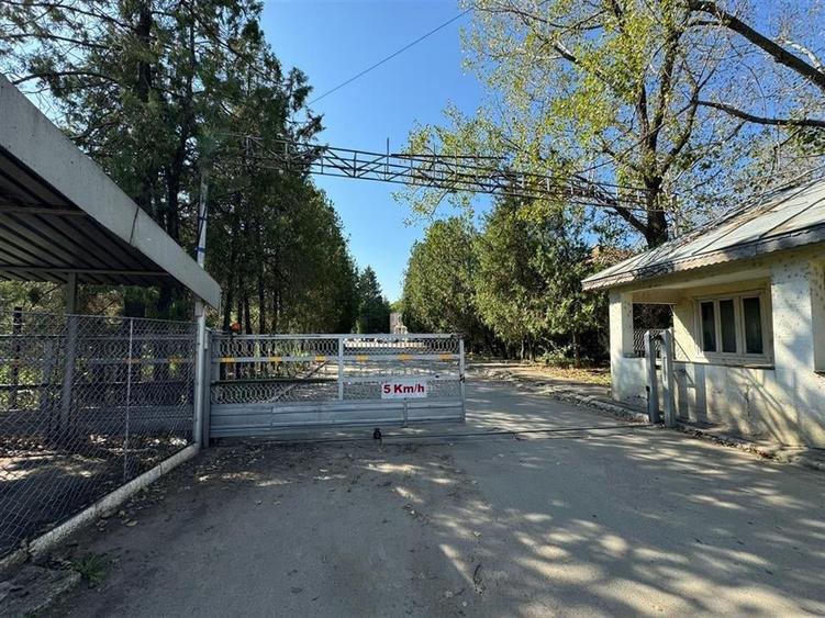 Hala industriala 1.240mp utili si teren in suprafata de 3.848 mp - 6