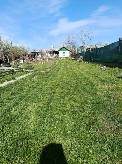 Casa batraneasca - 5