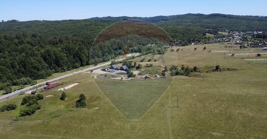 Teren 5,561mp Paltinoasa / Strada principala - 16