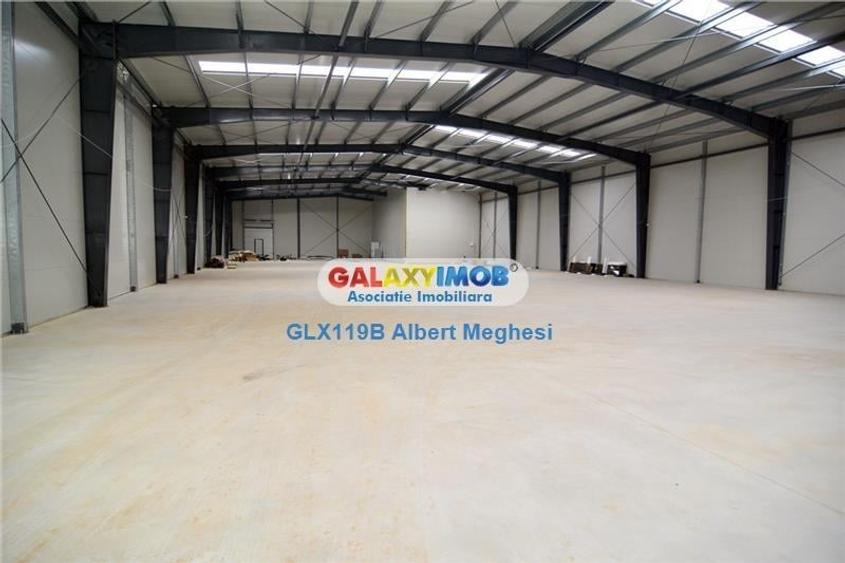 Vanzare Spatiu Depozitare/Hala Centura-Mogosoaia - 3