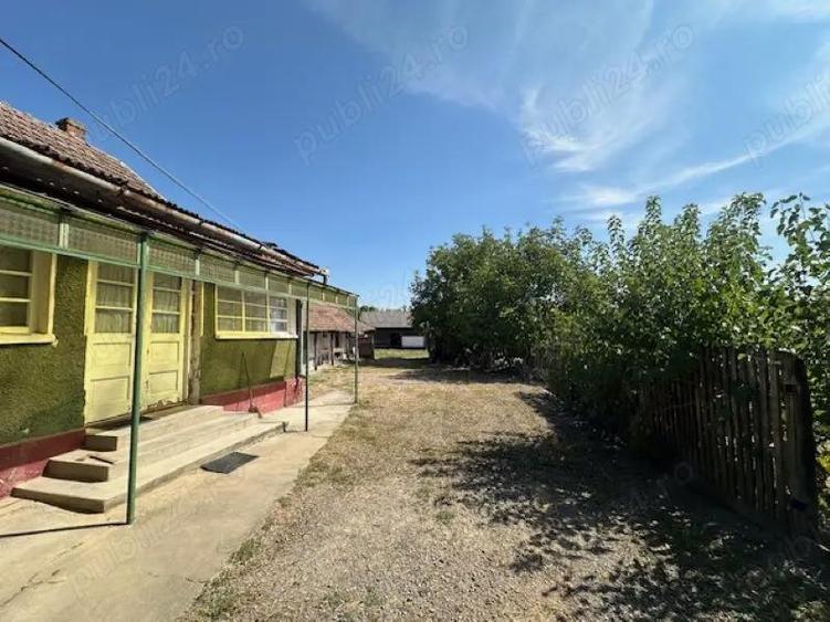 Casa cu teren de 6060 mp | LOC. BICACI | BIHOR - 2
