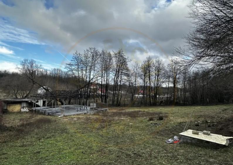 Teren 844 mp Mosoaia-Basangesti - 4