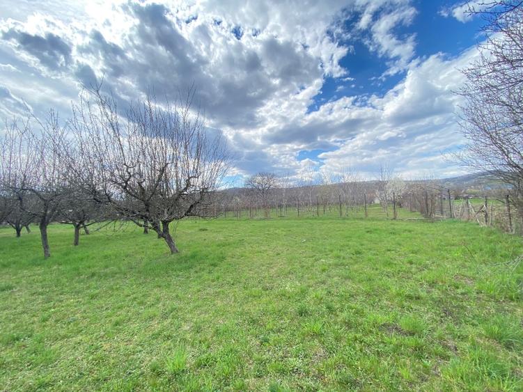 Teren intravilan 7000 mp - 7