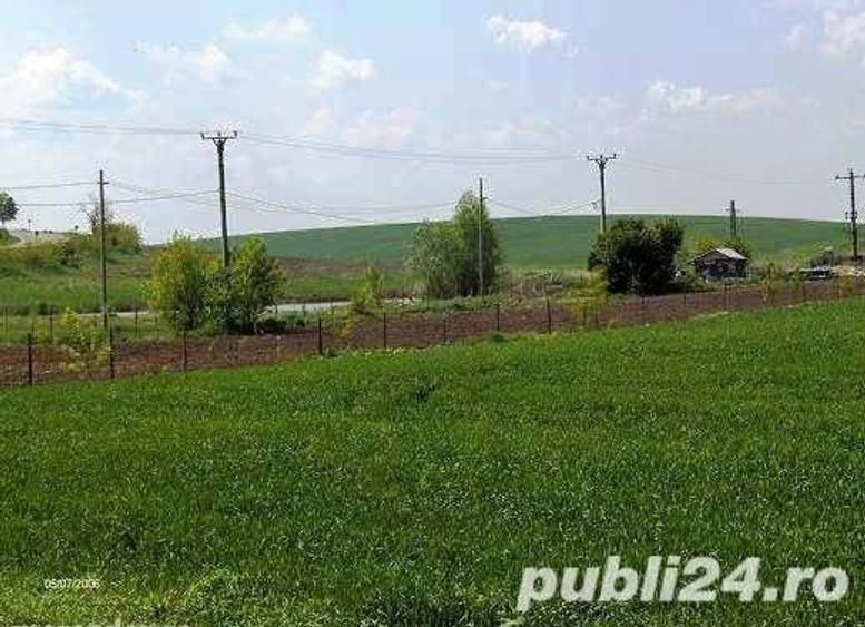 Vand teren stradal Alexandria, Teleorman - 7