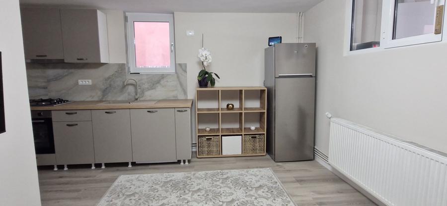 De inchiriat apartament 2 camere Nicolae Grigorescu, vila noua,parcare - 3