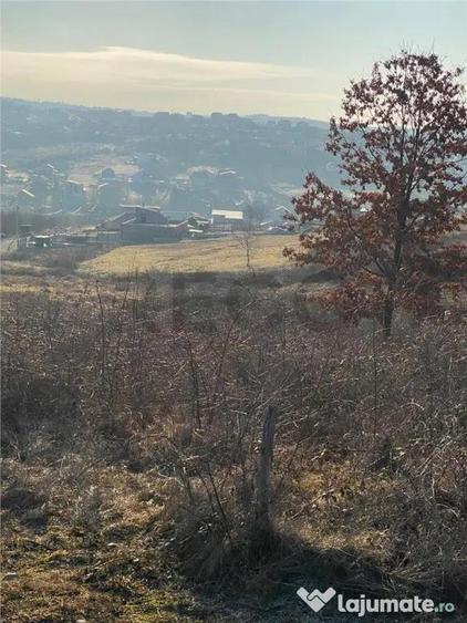 RECO Teren intravilan zona Hanul Pescarilor 1250mp - 1