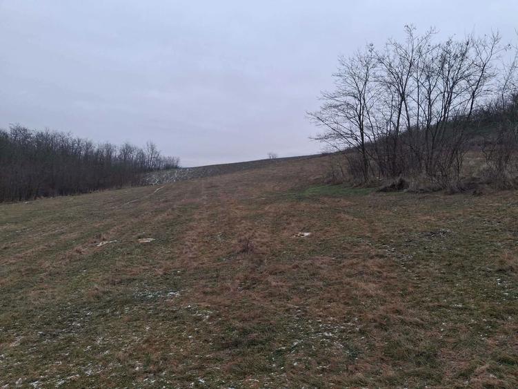 2 terenuri si casa de vanzare - 5