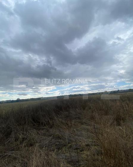 Teren extravilan, 2500 mp, zona Lucieni