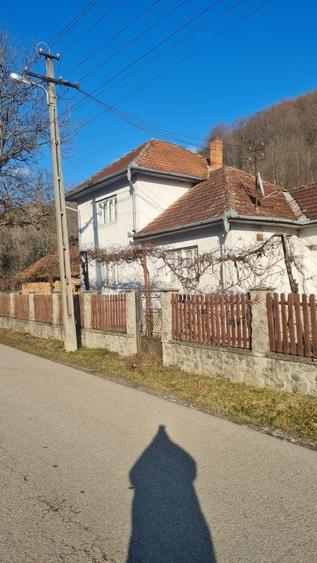 Vand casa in satul Lazuri - 8
