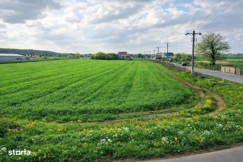 Teren intravilan 7.811 mp | Ciolpani, Ilfov | Acces drum public - 7