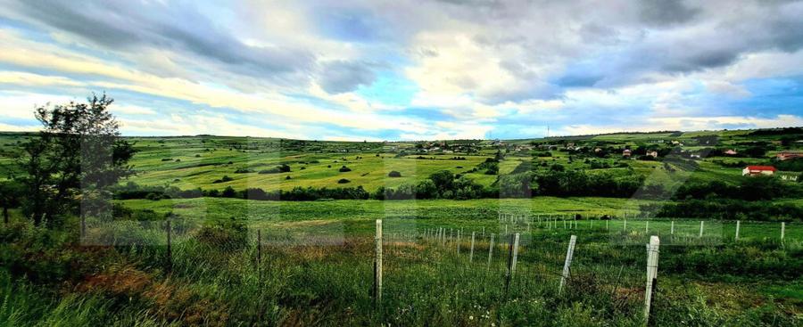 Teren cu autorizatie de constructie, 425mp, ,in Colonia Vale - 2