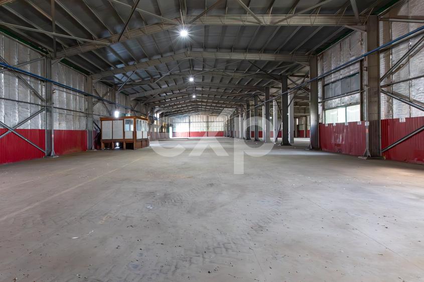 Spațiu industrial, de 3,028.1000976563 mp, în Calea Moinești