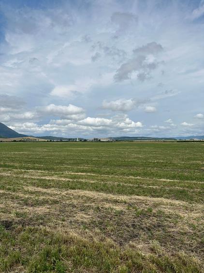Teren agricol extravilan de 10000 mp, în Hălchiu