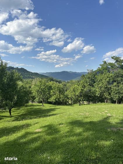 Teren de 10000 mp, în Șotrile