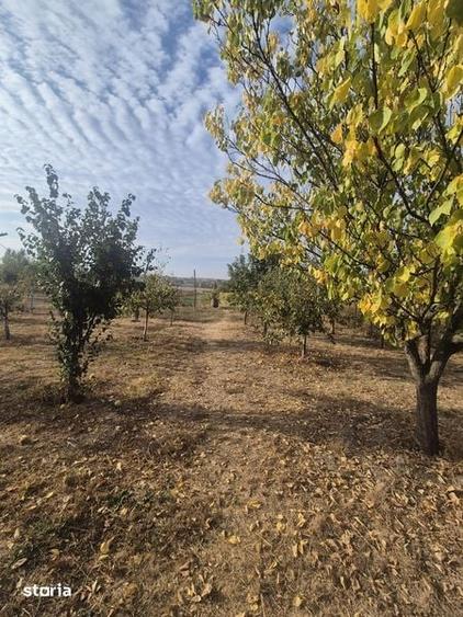 Casă cu 3 camere cu Teren 60 Mp în Vulpeni