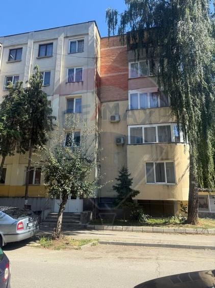 Transilvaniei, apartament cu 2 camere de inchiriat - 19