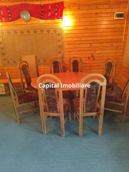 Vila superba 7 camere, Provita de Jos, 22.000 mp teren - 4