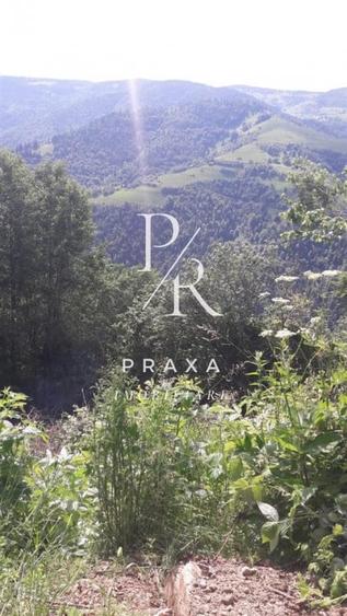 Teren de vanzare 10.000 mp/ parcelabil, cu utiitati, 4 euro/ mp! Maguri Racatau! - 10