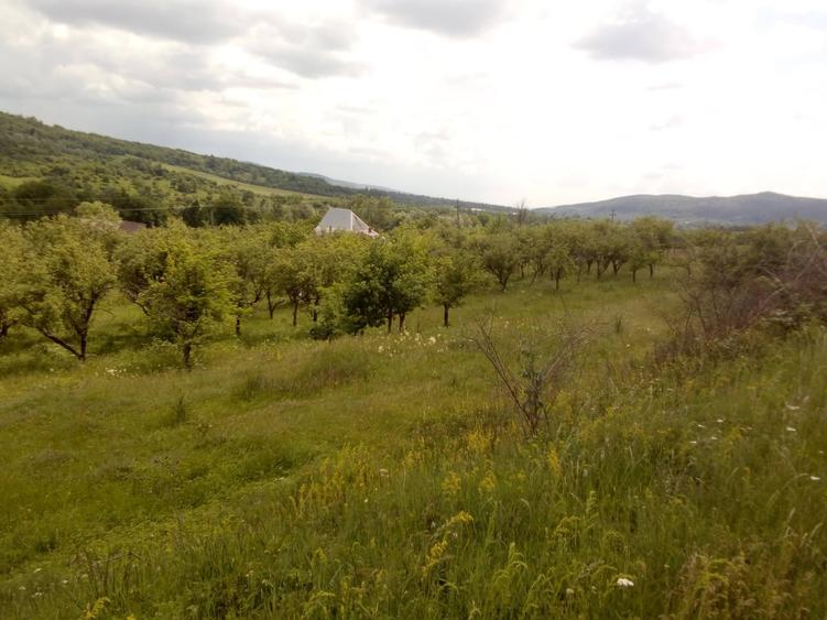 Mihaesti, Draghici - 2