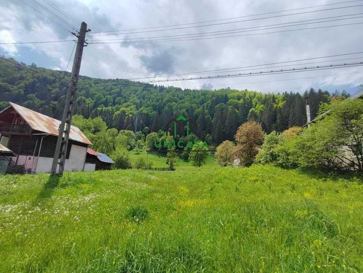 Teren Voineasa/Intravilan/5500 mp - 3