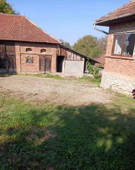 Chelinta, casa 1,2ha teren - 2