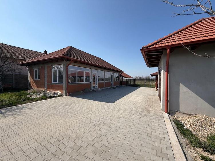 Casa Spatioasa cu Teren Generos Sudrias, Com. Traian Vuia - 1